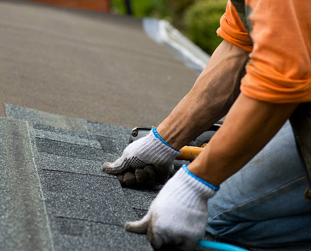 Roof Gutter Cleaning in Kentwood, MI